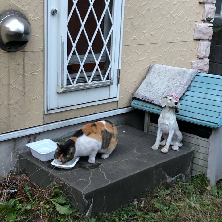 10e25e5b 2977 4f5d 9c31 e685934b2d85 1580973121332