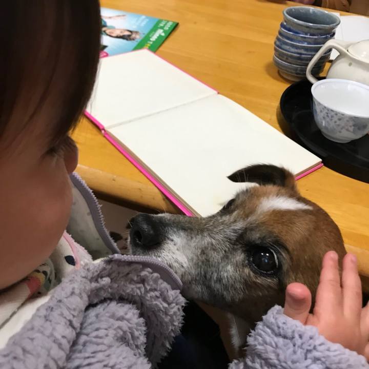 10e26b41 b4f3 4329 ab90 66ed90e11c93 1517124815718