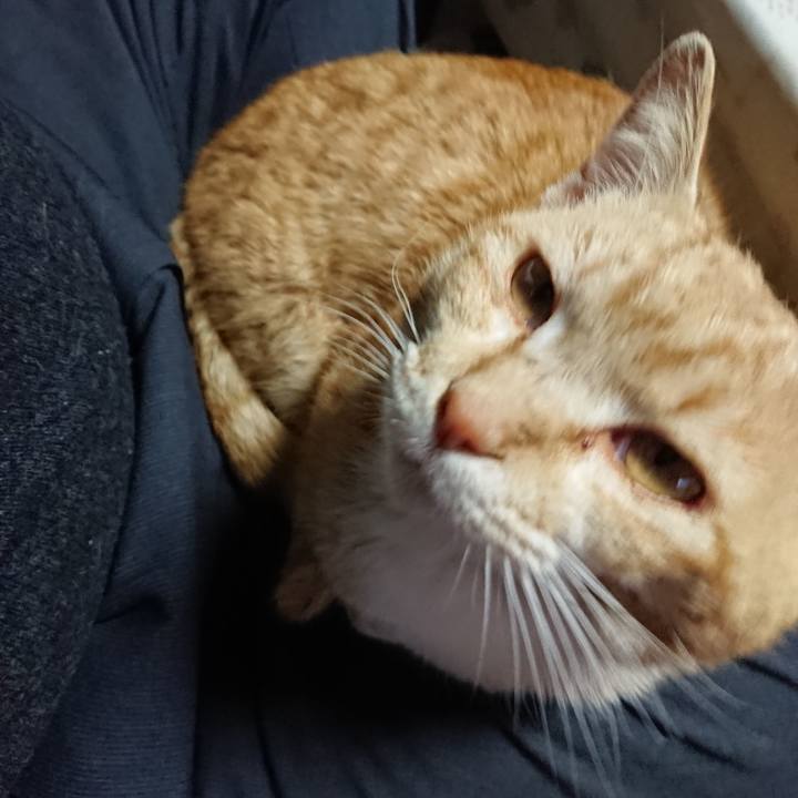 10e27fd5 8694 4a91 a4da 8b6a212522c6 1554281429243