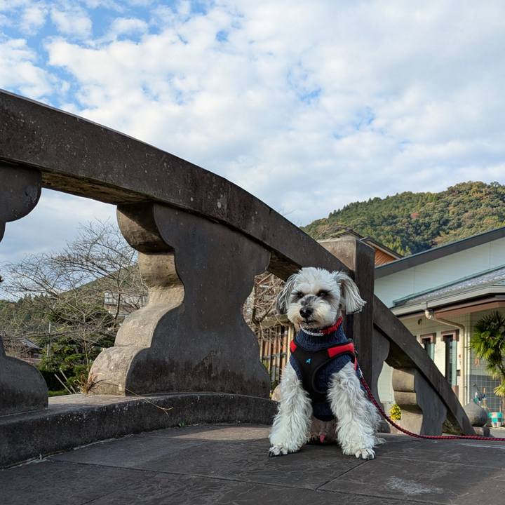 10e288f2 2c39 468c 8713 6172d6e90407 1763983930329