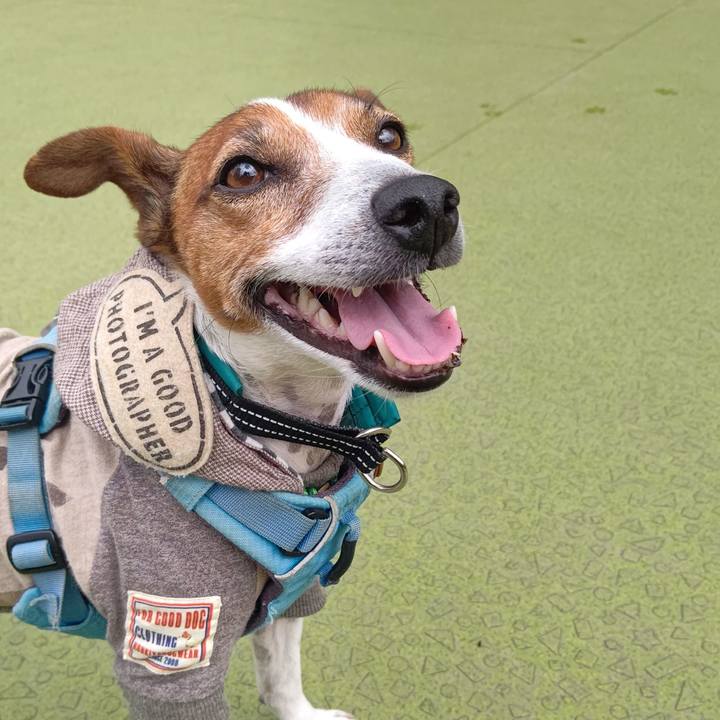 10e2c6a1 0d7d 4019 b63c f42b7ce6b039 1717770653565