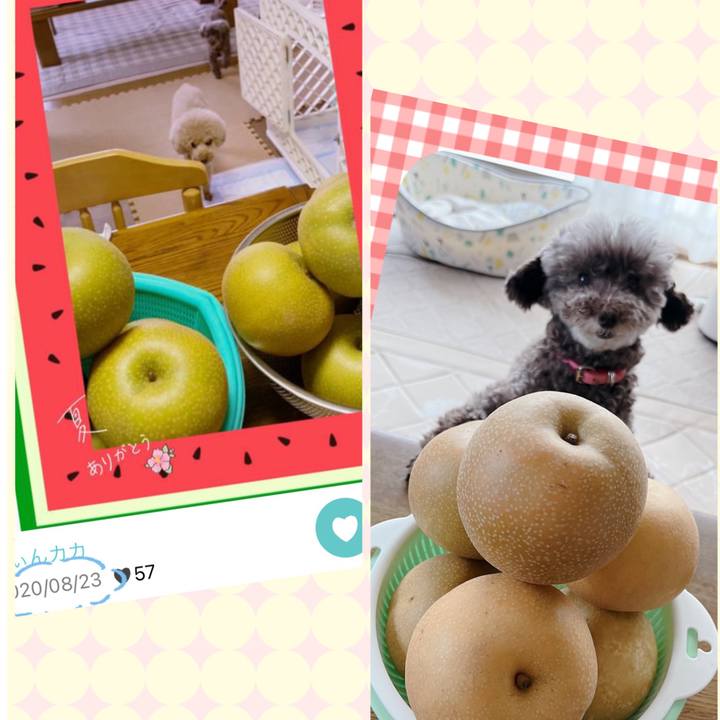 10e31412 3f7f 4f80 921e 1e78738efc4b 1692857664819