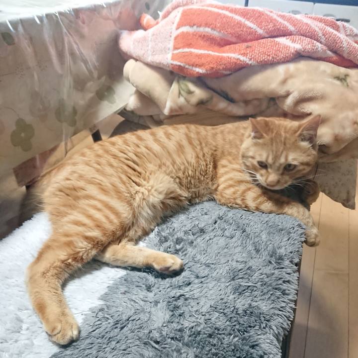 10e33da7 6724 4fc4 88d0 967b28c48a53 1651828931086