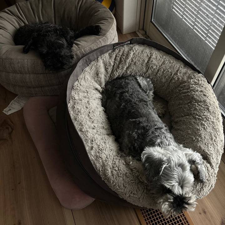 10e3572a 7f93 4917 b3d4 143df386f850 1712113409541