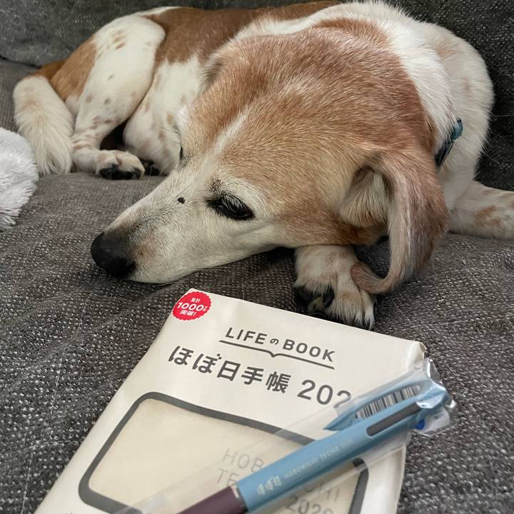 10e36ab7 8cfc 4405 ae03 b52c3fec8022 1767139717612