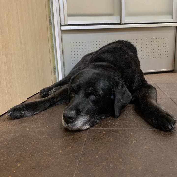 10e37987 4de2 490a 97c7 0dbc4da82272 1593211938920