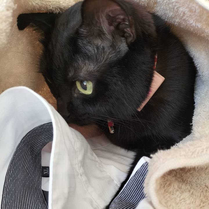 10e3bdc4 5f3e 49f1 9e68 663090b9f764 1632356544152