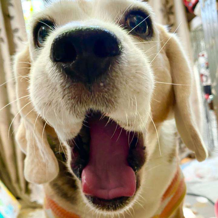 10e3dac6 151a 4837 a0f0 6d444e53a8bc 1639195319935