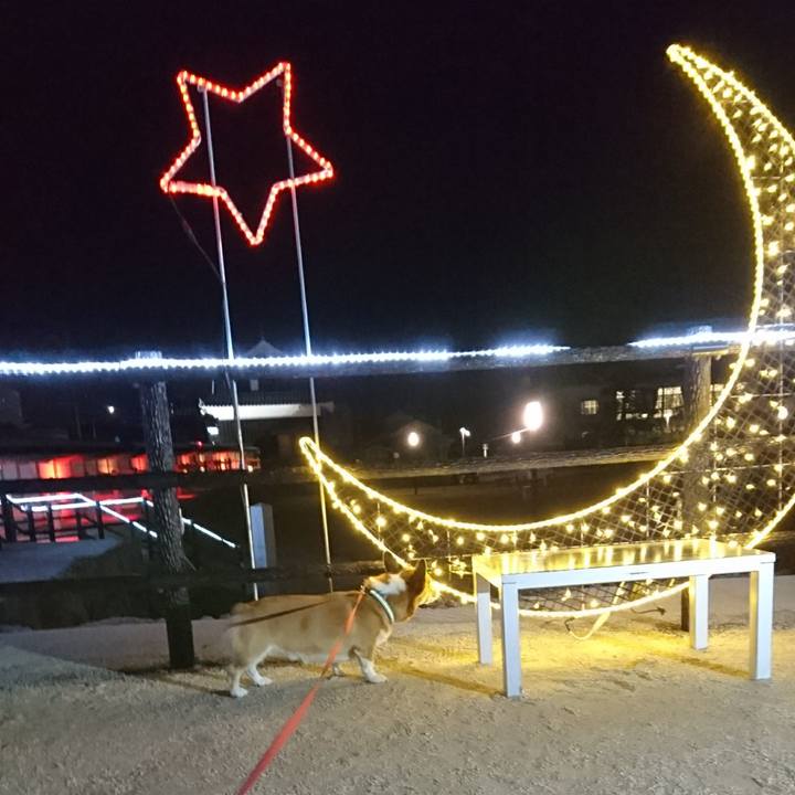 10e3f3c1 322e 4353 b655 e648b9755b64 1605269062394