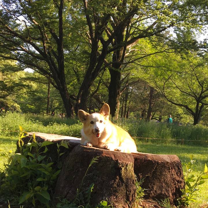 10e3ff87 9066 43b2 8a05 fd71a257776a 1619589458265