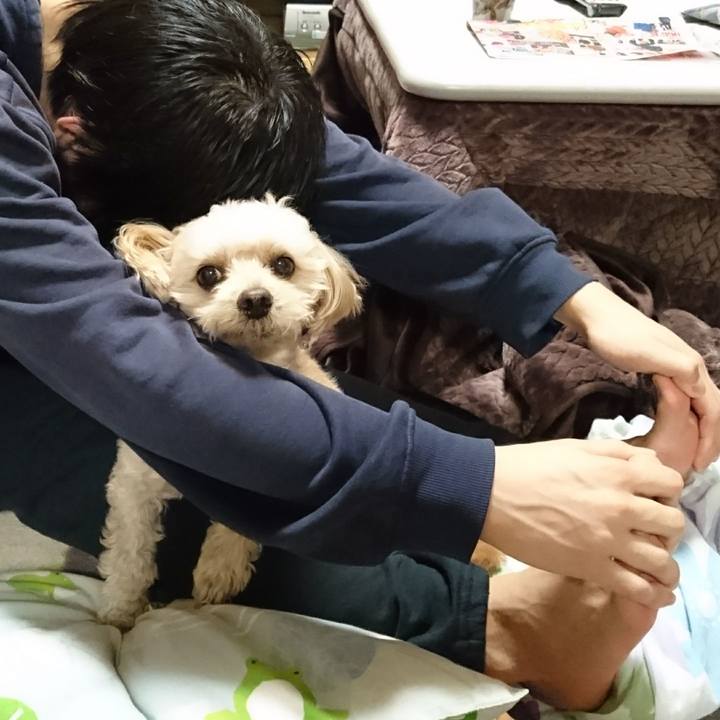 10e4017e 5fe1 421b 837f 657266f3fd15 1606486691165