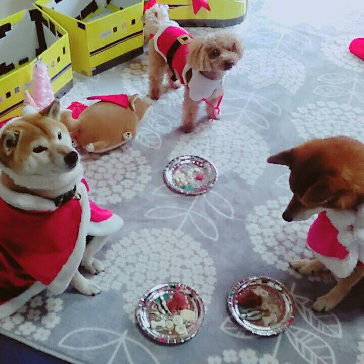 10e4120b 60f2 4343 9dcf 5849d0d14ea8 1576841046563