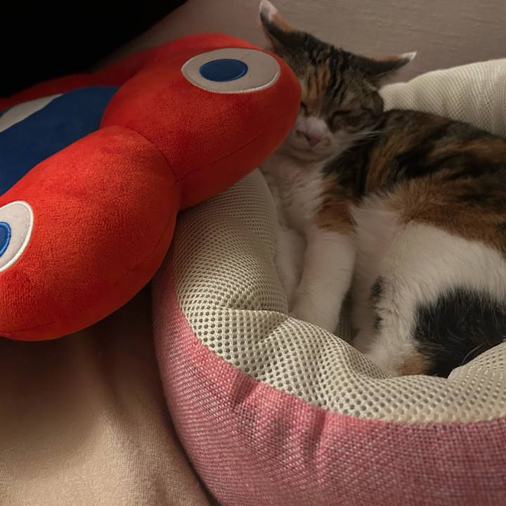 10e429d8 58b2 48b4 b7a2 2e33ce14b907 1762874495079