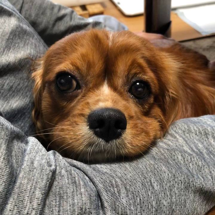 10e44c85 72c9 418b bf01 03c52585df6c 1594593288543