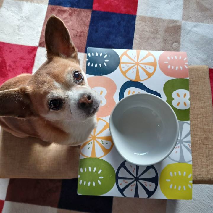 10e47938 4fe5 4281 9966 0c2bc9b0d59a 1743117528755