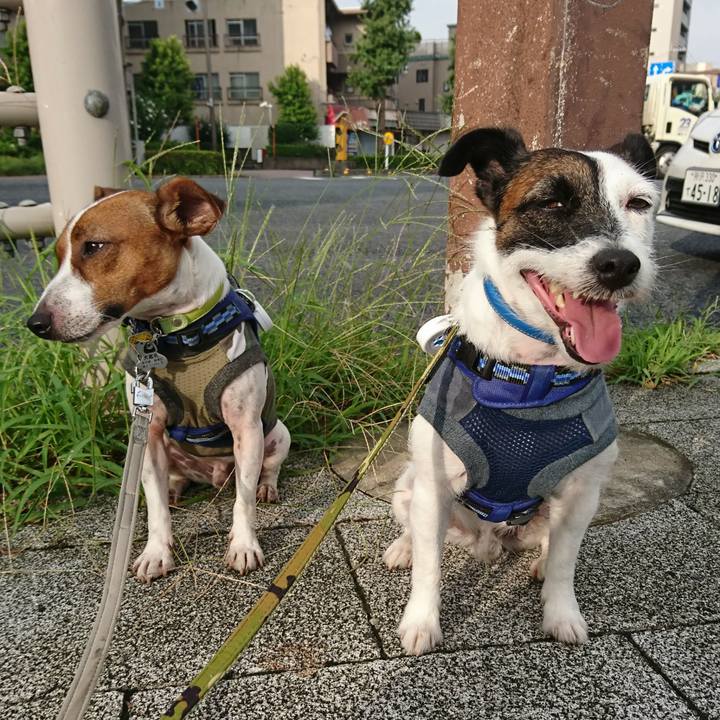 10e47ea4 9d02 40db 97f0 b7039adea7f7 1567029237161