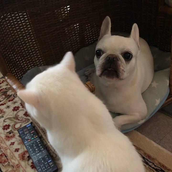 10e4868c 8474 4def 83e4 94213cbd3877 1661584632947