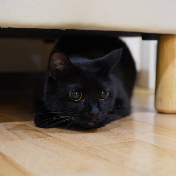 10e48813 2958 4b2a 8fe0 480a764b67d3 1570589429309