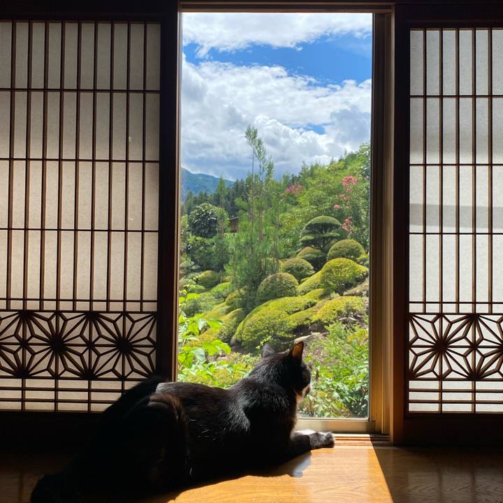 10e4a76f 238c 4718 9bf5 25b5e740995a 1754884998541