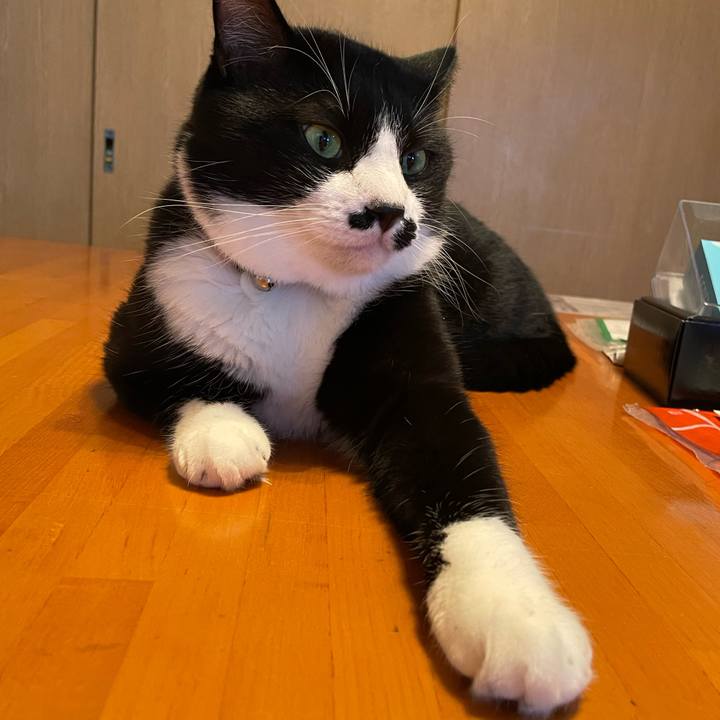 10e4c8ac d927 40f3 8132 2272dd9311d9 1692923255870