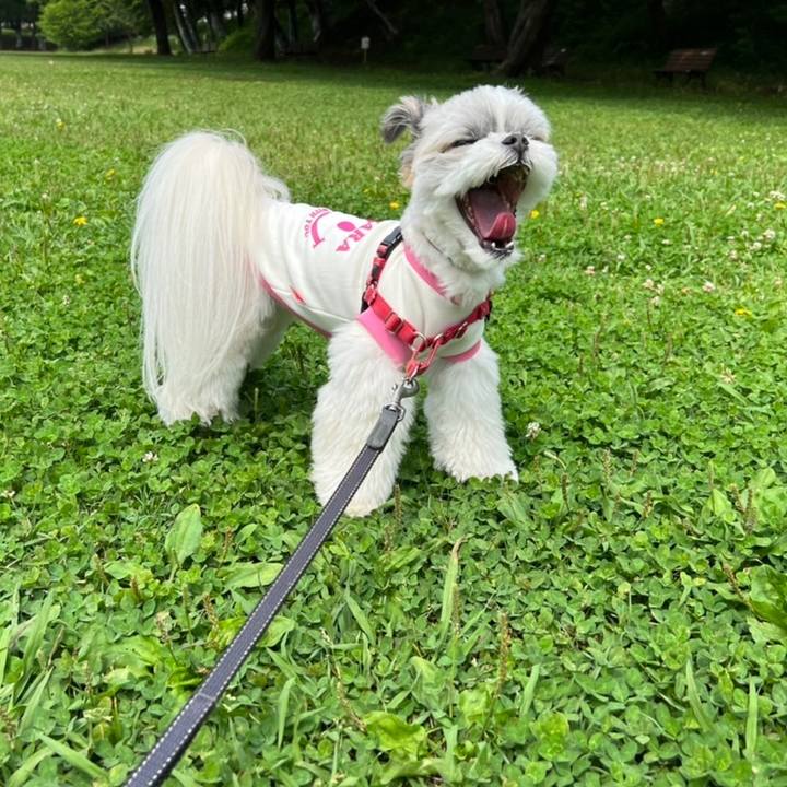 10e5082a 71f2 450a 8bda d1328e70e7b3 1654415649481