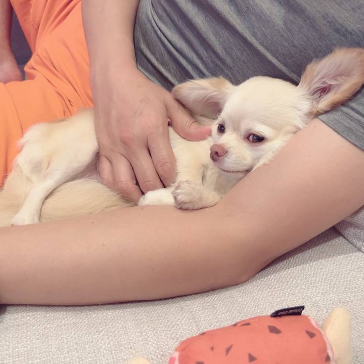 10e51aeb 360d 42b7 8fb5 4abe32cb2b38 1696079003284