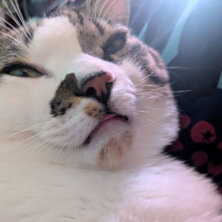 10e523d9 5433 40fa 9e93 a5933e6dc126 1763954044595