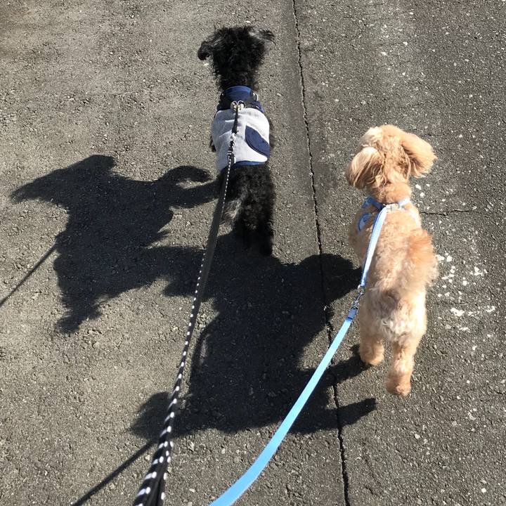 10e56d25 3375 4e9e 97a5 c695c15de993 1526808413735