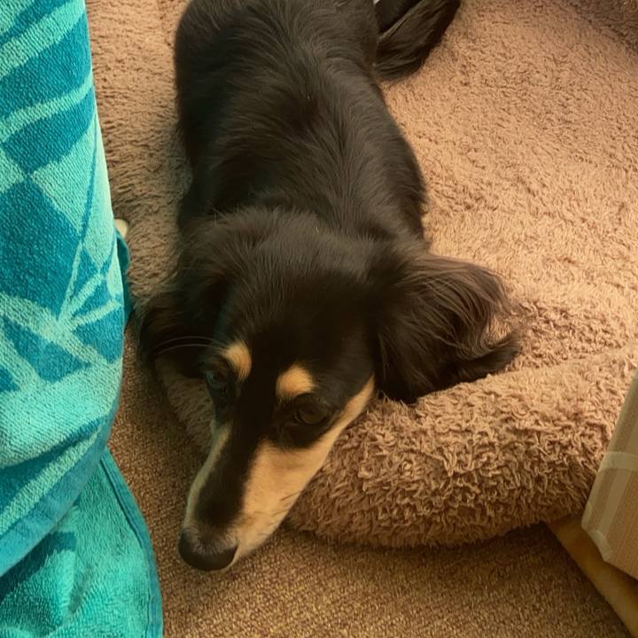 10e57aec f154 482c 87c8 4561bda09687 1702869703002