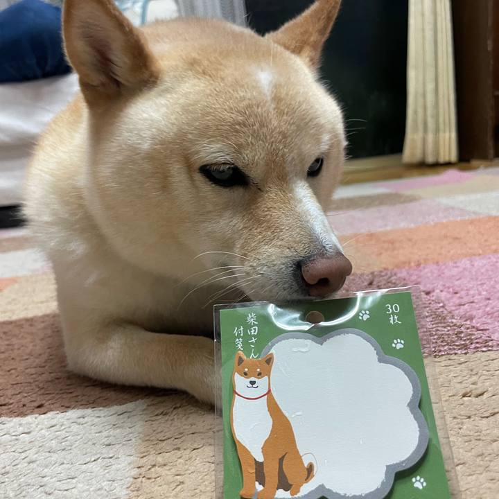 10e584a8 c086 48ba 8350 0b0ca2a4e8c0 1685700078877