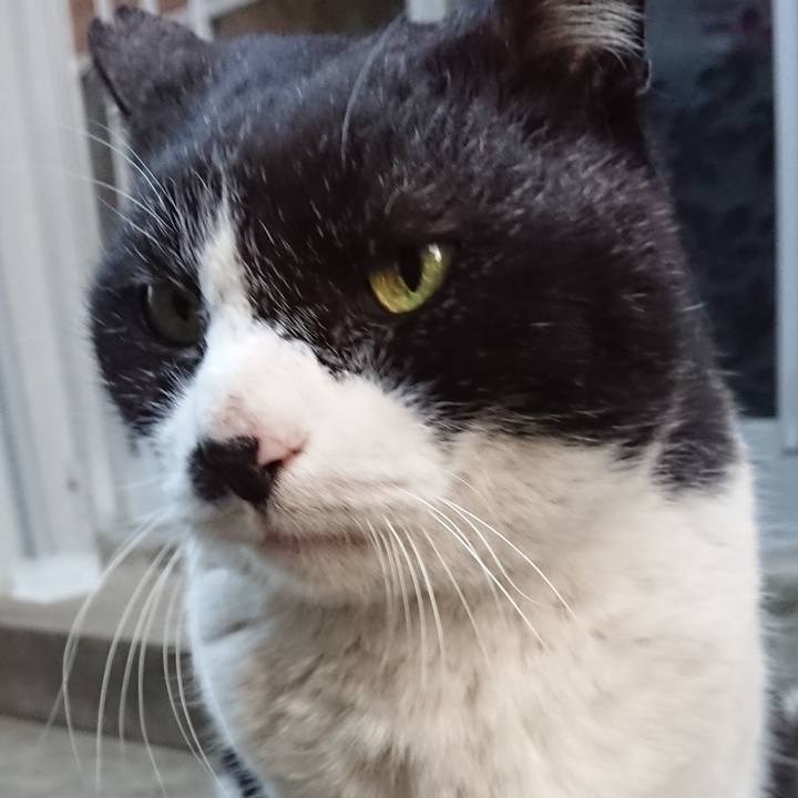 10e5aa5c f238 4316 922d c6057d7bea36 1677918473582