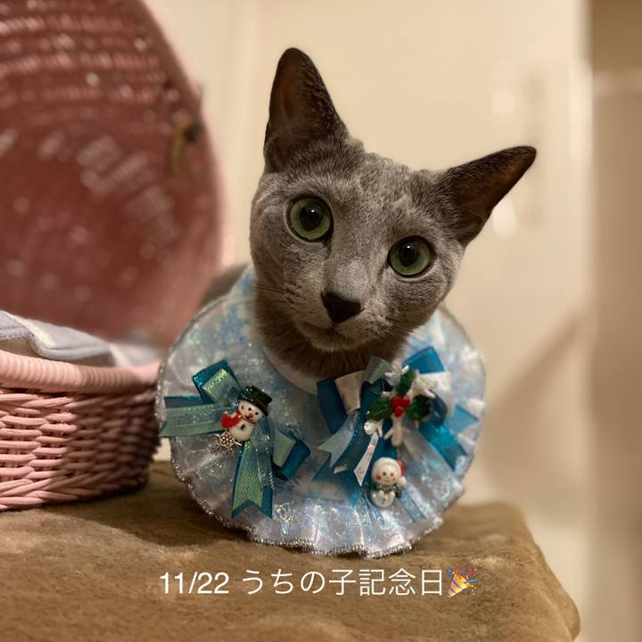 10e5b14a 42e5 4f1c b813 766817c27b20 1669120144352