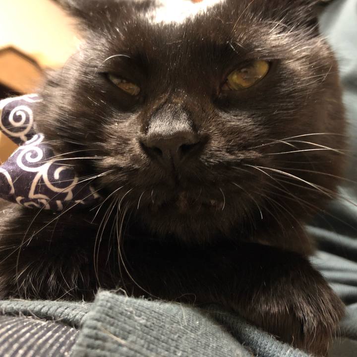 10e5bdc8 326f 48d2 ba3a 25b67ac6e016 1584534508466