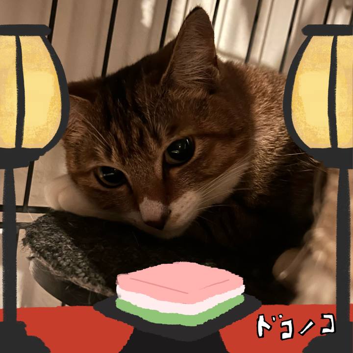 10e5cf38 0c0c 4667 abe1 8e52f5fcfbbb 1741091154529