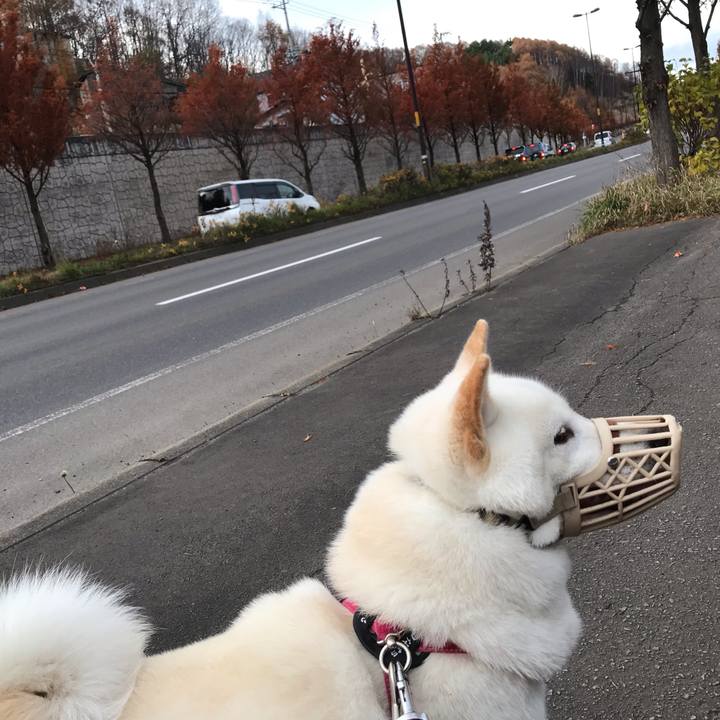 10e5d204 7582 414f 98b0 c9ed804af4e6 1542367801428