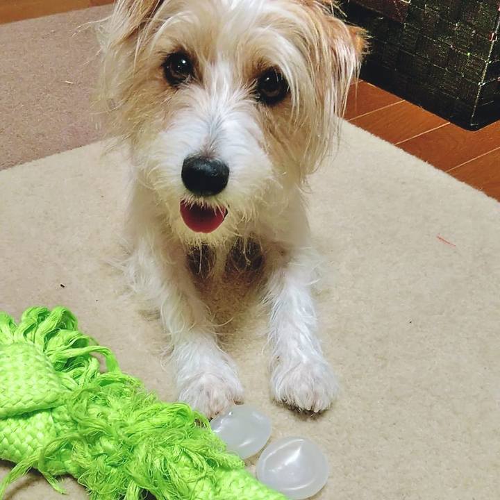 10e5e6c6 e53b 4ac8 9a52 6c4fb085c176 1528641724675