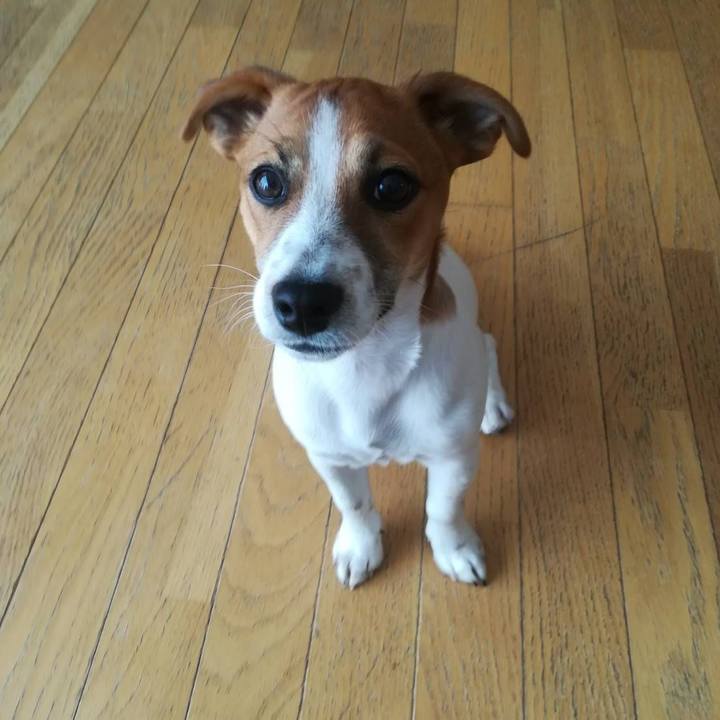 10e5e72c 8fee 40ab 8b52 5e9eb0513a5a 1554535519730