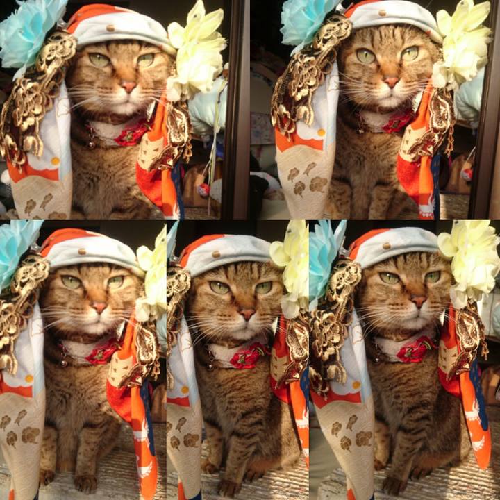 10e6010c aeab 499c a1ef be75623ac828 1758925694295