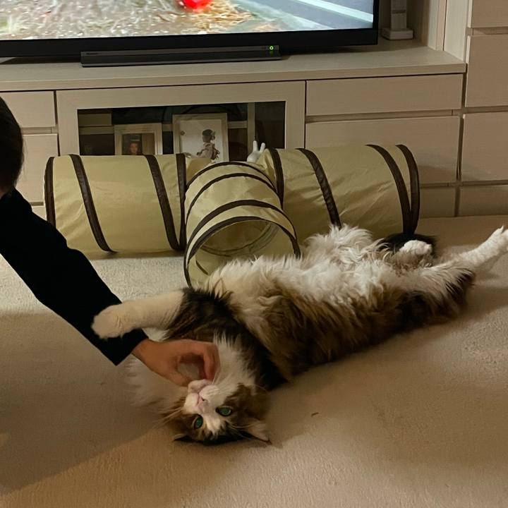 10e60ce7 95cb 4b76 9251 2894875a0f92 1768594534079