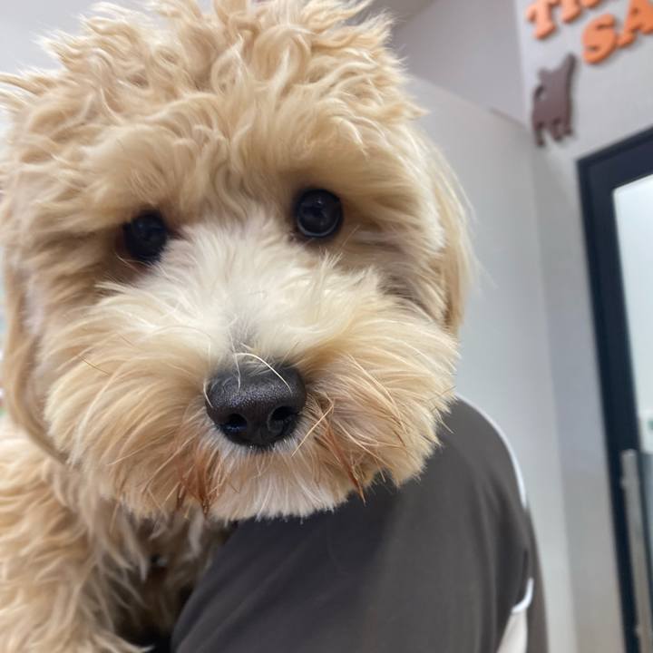 10e615ea 95d3 423b beac 35e00ab00a67 1757307829033