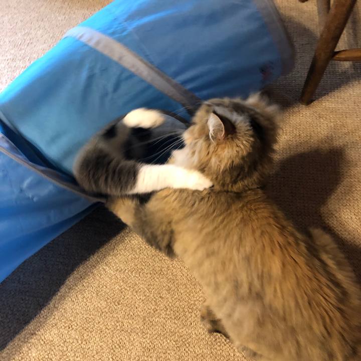 10e61876 c644 49b4 ba1c a0ebd56c3d0a 1563942770386