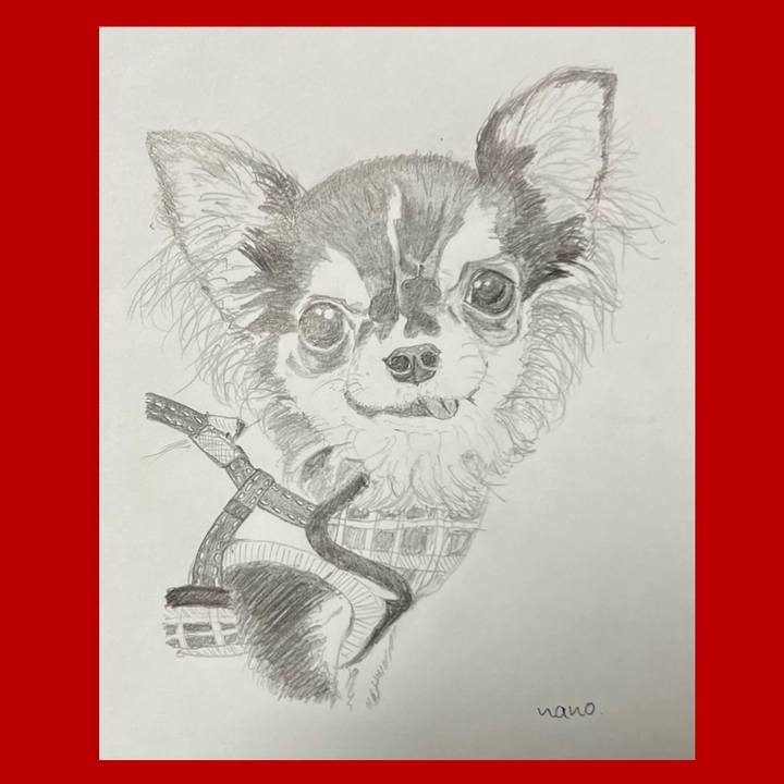 10e63d29 7810 4b56 a7bc 4ef8d448b5d2 1667767521655