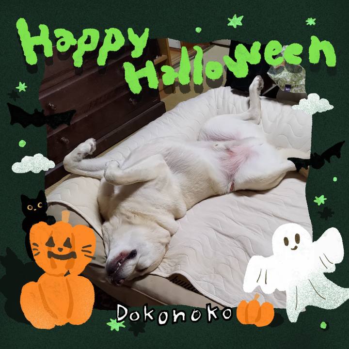 10e64707 f802 4e82 9bec 0d78e338bc40 1729077264533