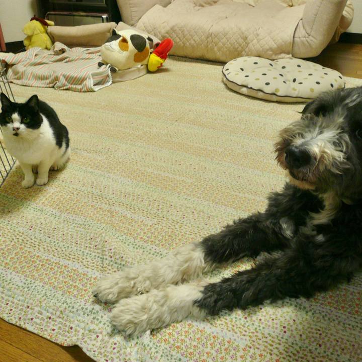 10e652c2 42e2 46b8 a09d d583372266c1 1604062127872