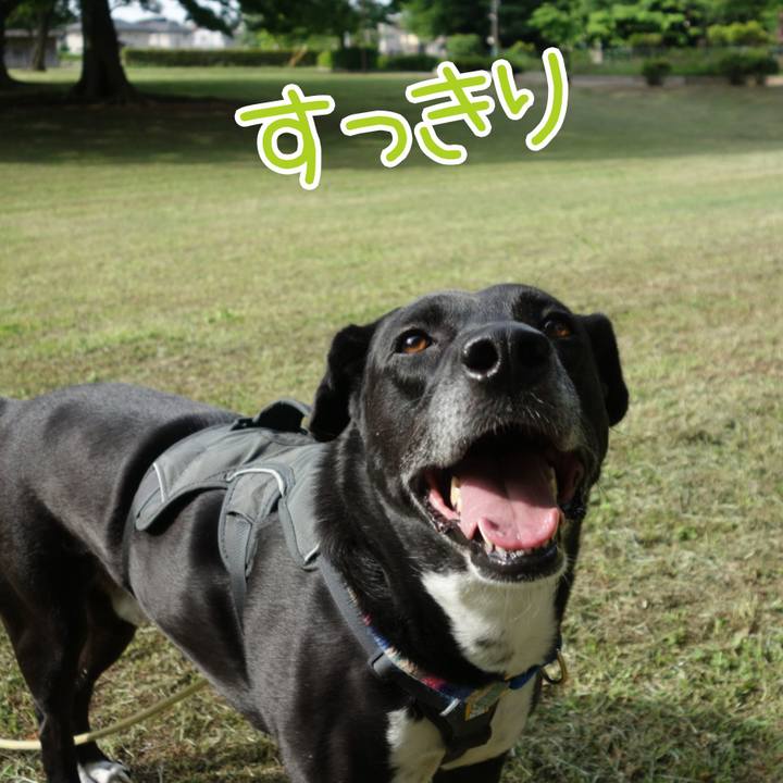 10e65f17 c33d 49ba 8dd6 743ffc1a9288 1652229907224