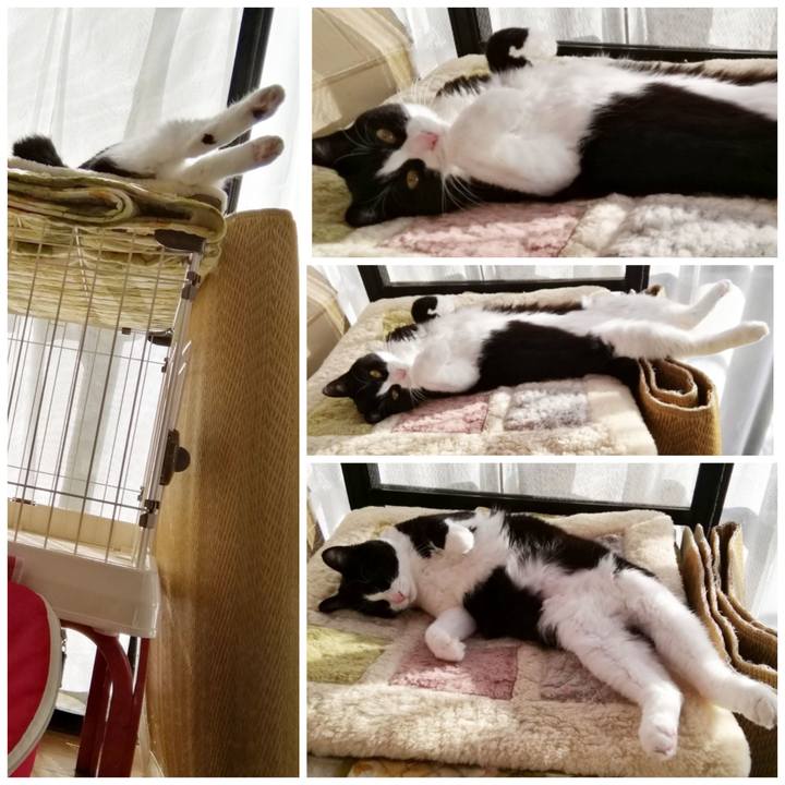 10e68ae8 5b93 4124 ba9f d1bbf9d4fd48 1603592354393