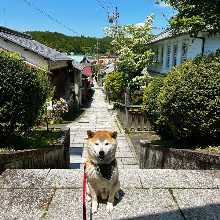 10e69859 f6b0 4e49 bcec 4710a88a4ddd 1716289157338