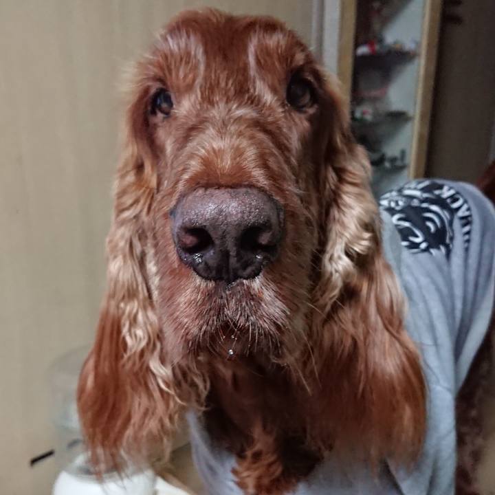 10e6f3c2 b144 4b3e 8d45 80f4b9566daa 1582466165978