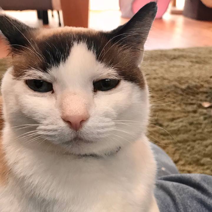 10e72bd5 d156 42a3 8305 336dc681d406 1585196807213