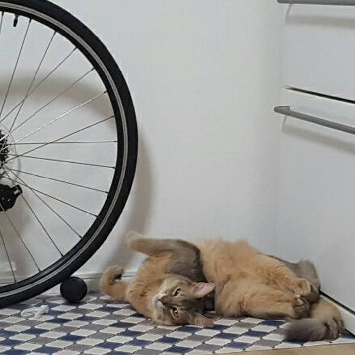 10e781ac 806b 43e8 b399 c96f473fd4fb 1538302615654